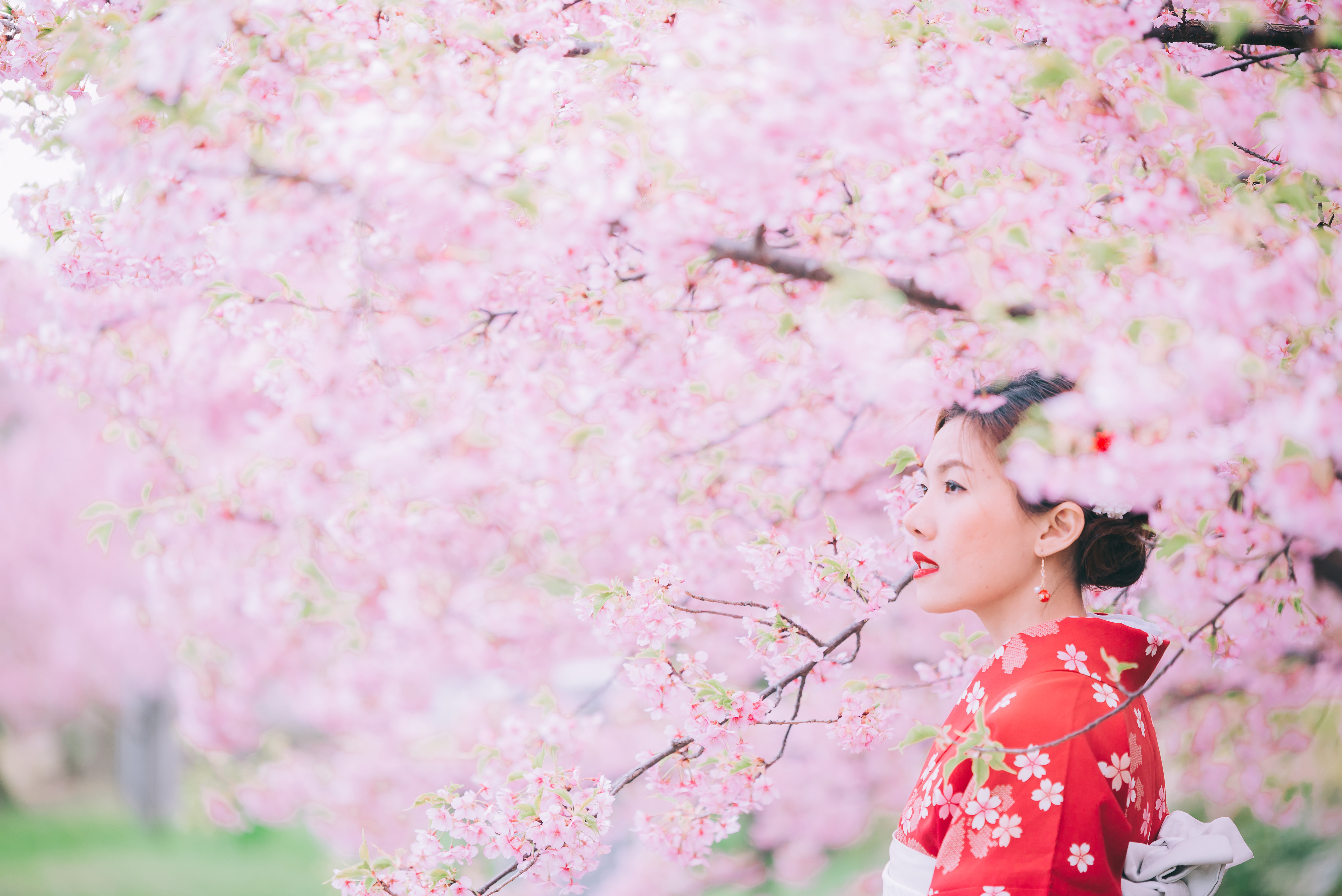 Frau steht vor Kirschblütenbaum